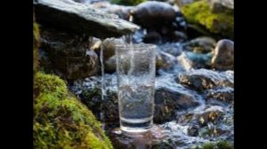 Ящерицы помогут добывать воду в пустынях