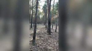 зеленая магия