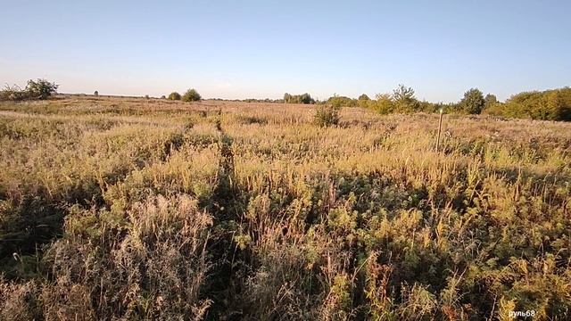 Купил на берегу реки Цна участок.Часть-1 смотреть онлайн