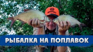 .👀Ловля леща на реке. Рыбалка на поплавок. 👀