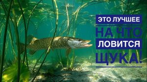 Вы будете в ШОКЕ от этих приманок￼ на щуку!￼ Мой личный ТОП.