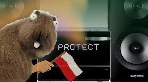 Ошибка PROTECT музыкального центра Samsung MM-E330D. Решение типовой неисправности.