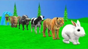 Мультики для детей .Детские мультики.Яркие мультики