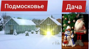Подмосковье.Дача.3.01.2026г.