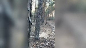 ботинки в траве