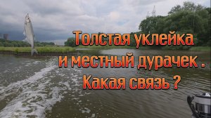 Толстая уклейка и местный дурачек. Какая связь ?