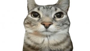 :)))