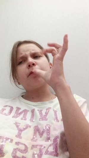 влог