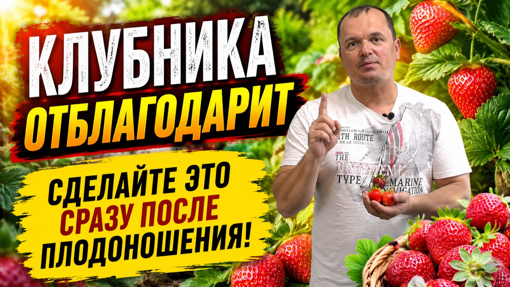 Пять проверенных действий, которые делаем на клубнике смотреть онлайн