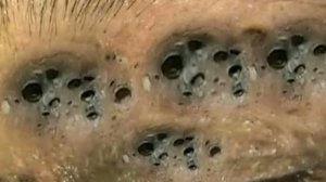 Clean Pore Care Routine for a Peaceful Mind #46788598