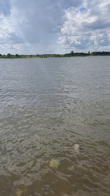 речка ) отдых смотреть онлайн