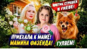 Я у мамы! Мамина фазенда 🌸 Гуляем, отдыхаем, Цветик показал характер!