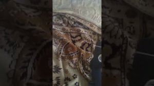 камера Красногорск Зенит очень раритетная штука
