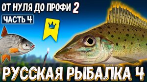 Первый трофей, прокачал прикорм и донку, получил жесткий размот, планы и цели #рр4