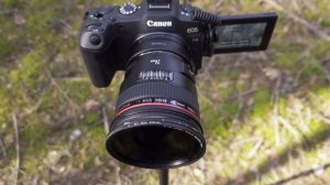 Canon EF 24mm f1.4L USM мой основной рабочий инструмент