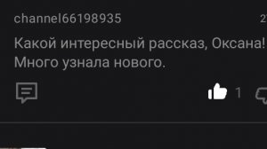 Пошла лиса 🦊 в курятник бригадиром ✅