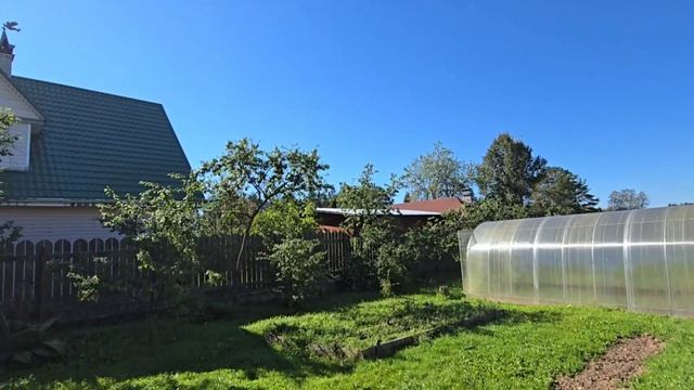 My Russian Dacha Garden tour: apples, plums & Leningrad Region life 🌳🌸☘️ смотреть онлайн