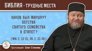 Каков был маршрут бегства Святого Семейства в Египет (Мф. 2:13-15)?  Протоиерей Олег Стеняев