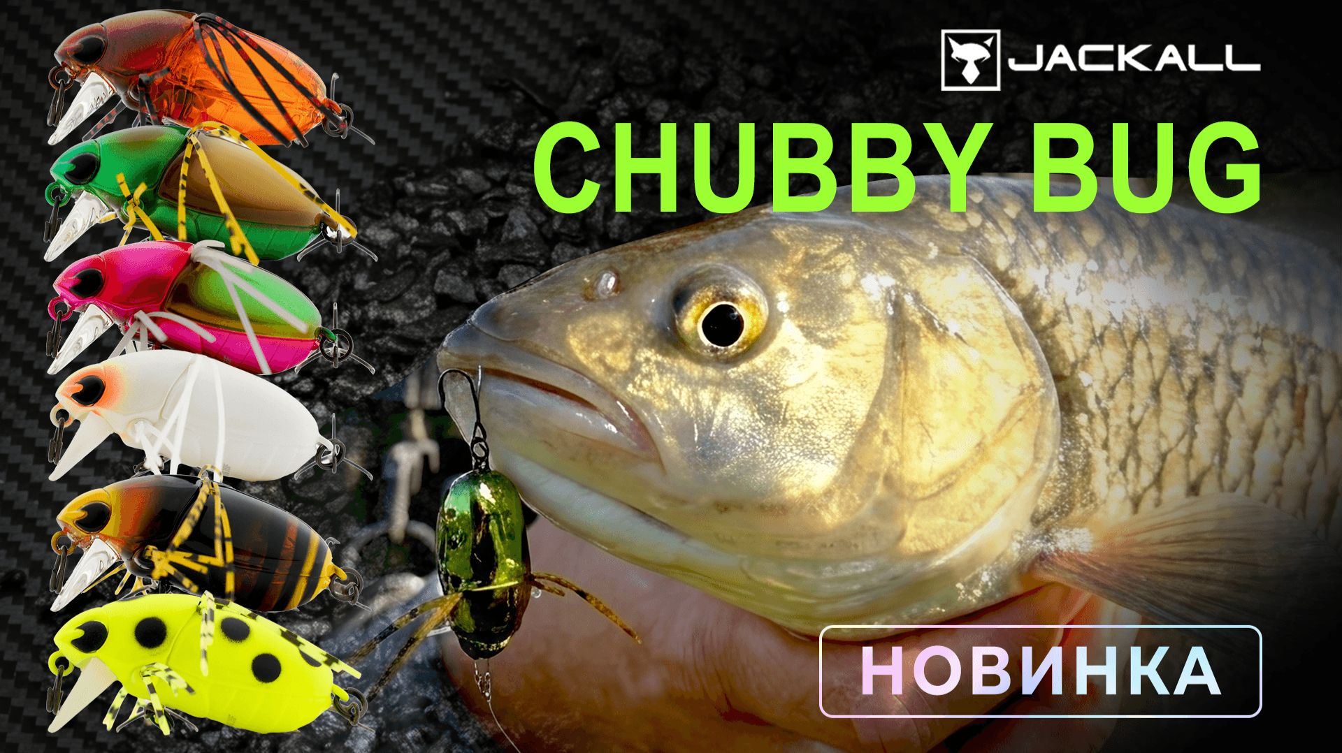 Chubby BUG. Новинка 2026 смотреть онлайн