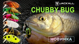 Chubby BUG. Новинка 2026