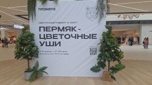 Цветочный влог: посылочка с клонами, обзор растений в Лемано Про, цветочный маркет, мои новиночки