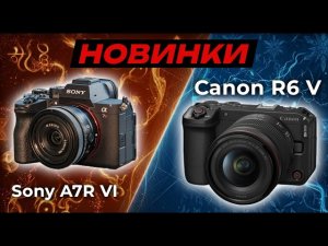 Canon EOS R6 V vs Sony A7R VI — битва новинок!