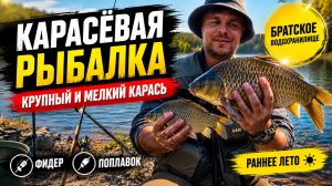 Карасёвая рыбалка летом 2026! Крупный карась, сазан и море леща | Братское море