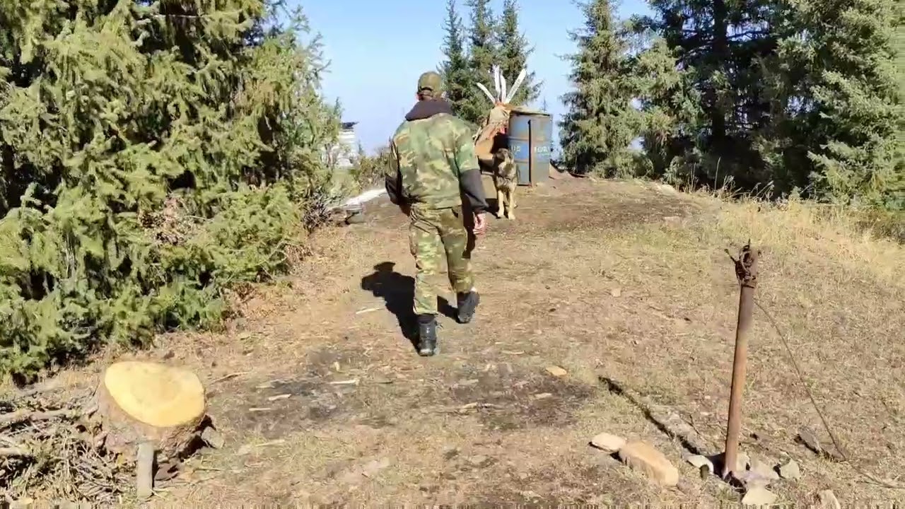 жизнь на высоте 2500 в ущелье Кимасар