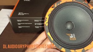 Обзор на самую лучшую замену штатной акустики DL audio gryphon pro 165 neo