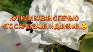 Как дела на даче: сделали себе подарок / неужели останусь без арбузов и дынь😲