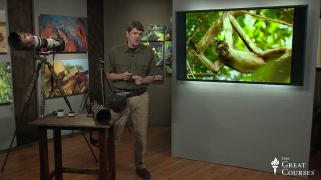 Tgc 7941 Lect17 Natgeolandscapewildlifephoto
