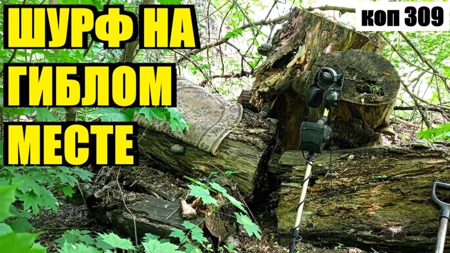 ИНТЕРЕСНЫЙ АРТЕФАКТ И СТАРИННОЕ КЛЕЙМО! . коп 309 смотреть онлайн