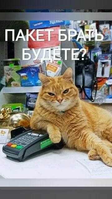 Картинки смотреть онлайн