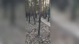 вечерний свет