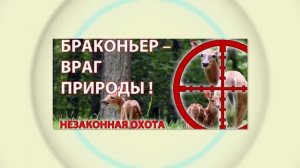 Алгоритм - 28.06.26