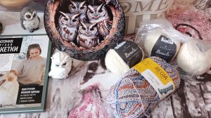 🦉Вязальные успехи или неуспехи 😁.Подарок от Татьяны Щукиной 🎁.Готовые работы 🧦