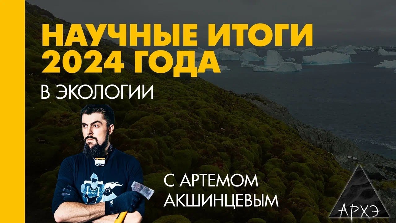Артем Акшинцев: Экологические итоги 2024 года смотреть онлайн