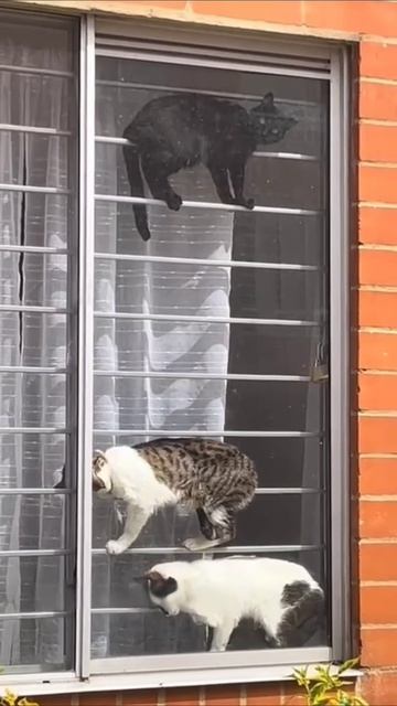 Мест нет смотреть онлайн