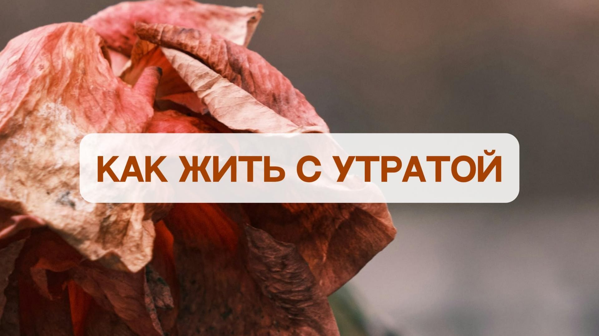 Боль, которая возвращается: как жить с утратой