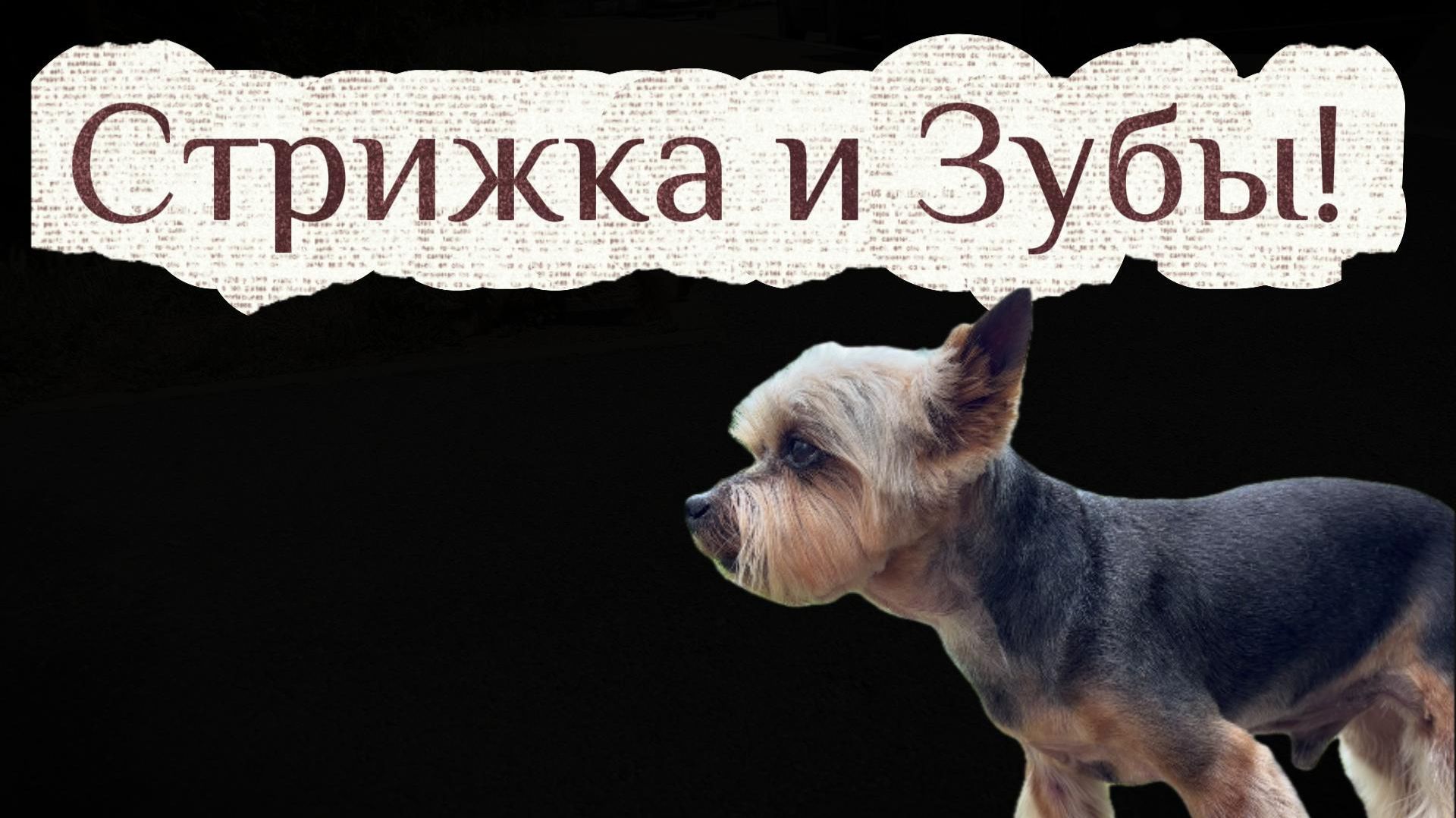 Зубы нужно лечить! июнь 2026