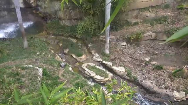 В ожидании появления тигра 02 198 смотреть онлайн