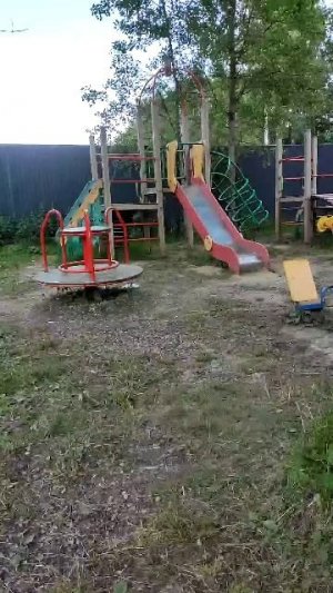 общение смешно цирк