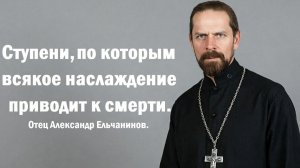 Ступени, по которым всякое наслаждение приводит к смерти. Священник Александр Ельчанинов