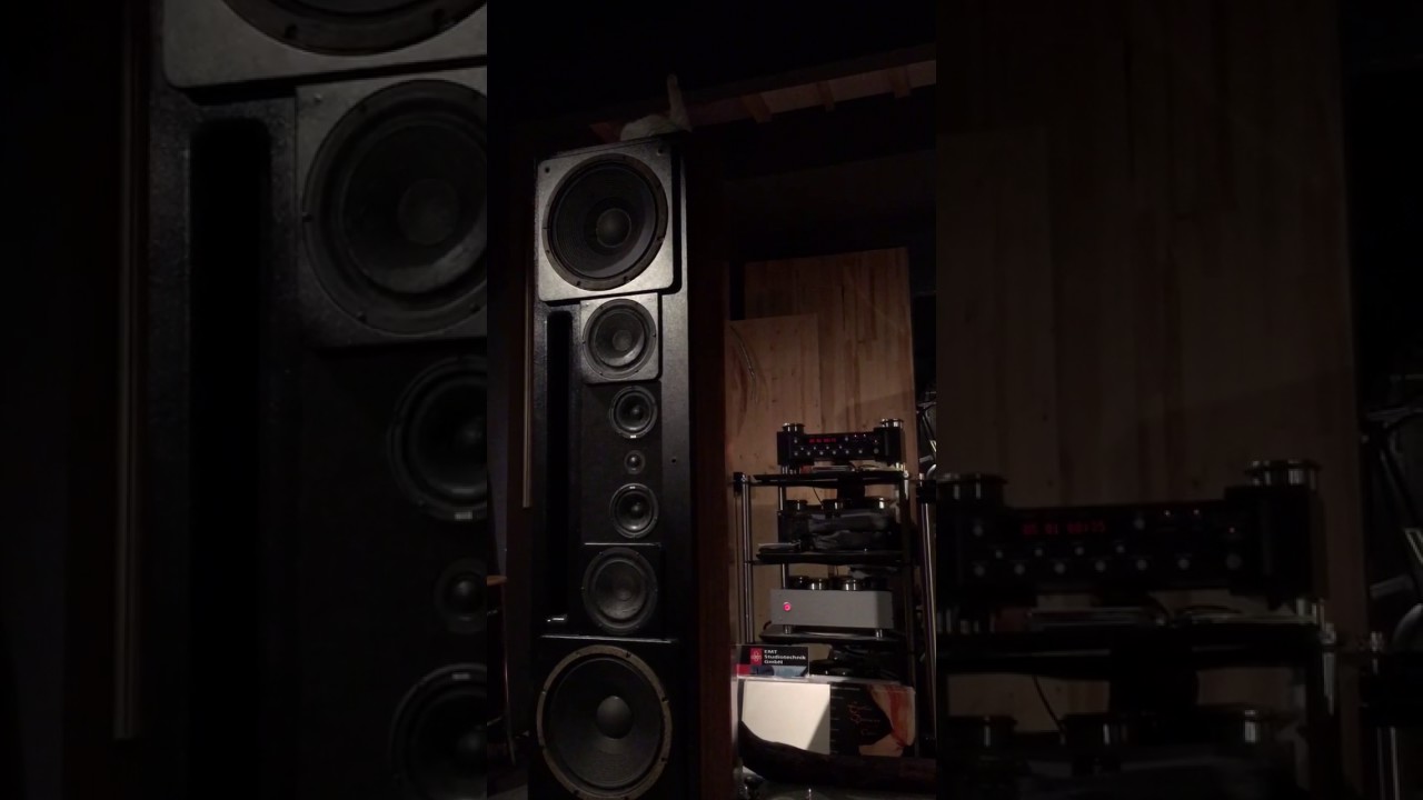Montana WAS, DartZeel, Mark Levinson в салоне Gong-Stereo смотреть онлайн