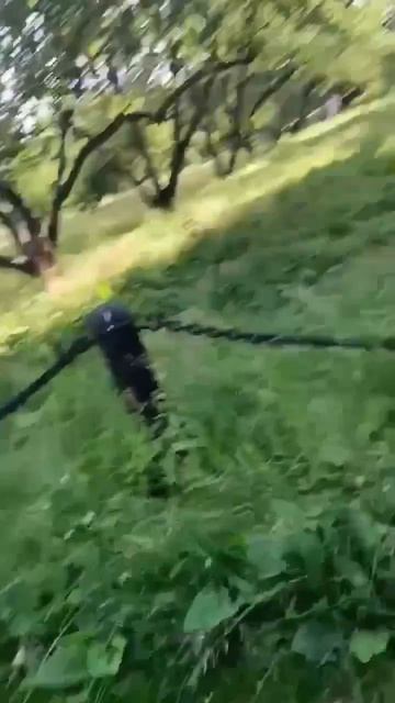ПОДПИШИСЬ смотреть онлайн