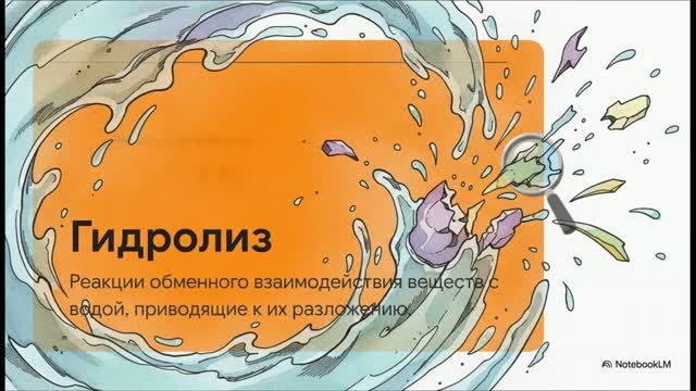 Химия 11 класс 13 Гидролиз
