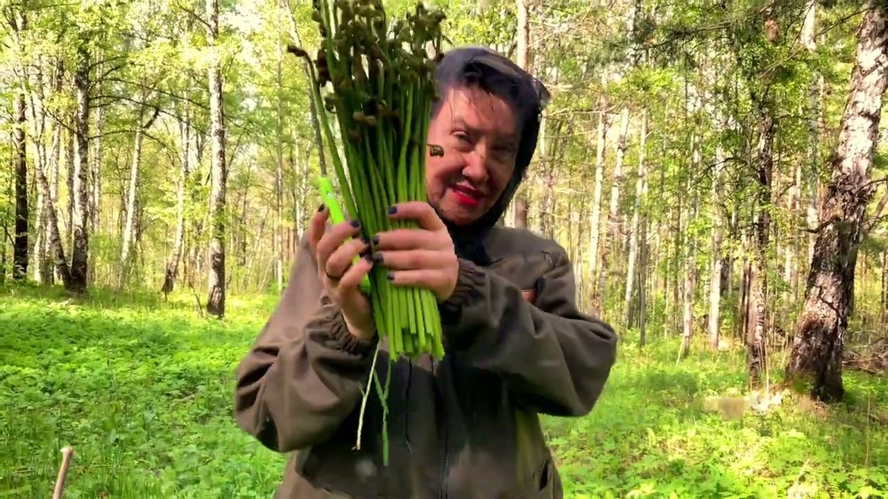 Колодец смотреть онлайн