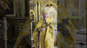 проповедь архимандрита Зосимы 28.06.26