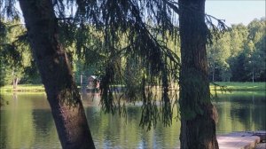 Утренний обзор с нижнего водоёма. Клёвое  место, Лосиный остров.