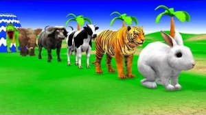 Мультики для детей .Детские мультики.Яркие мультики